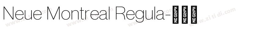 Neue Montreal Regula字体转换